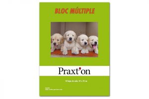 Bloc múltiple manualidades Praxt´on